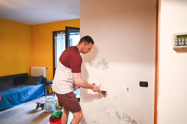 Best Commercial Mold Remediation in Neoga, IL